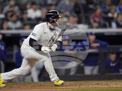 World Series Baseball