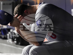 World Series Baseball
