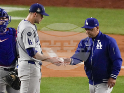 World Series Baseball
