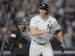 World Series Baseball