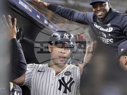 World Series Baseball