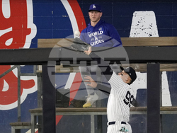 World Series Baseball