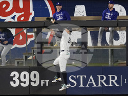 World Series Baseball