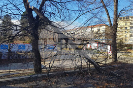 Силен вятър