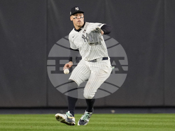 World Series Baseball