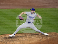 World Series Baseball