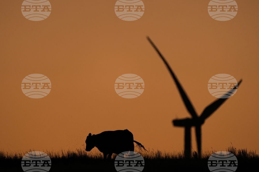 Наблюдава се напредък към намаляването на глобалните метанови емисии, но той не е достатъчен, отчита доклад