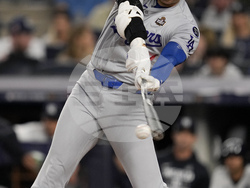 World Series Baseball