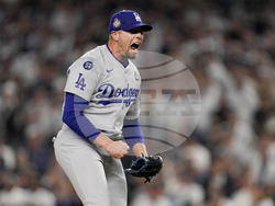 World Series Baseball