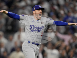 World Series Baseball