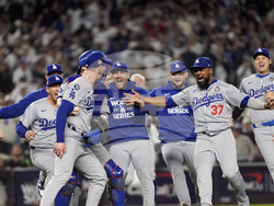 World Series Baseball