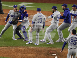World Series Baseball