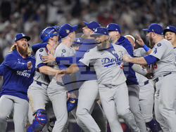 APTOPIX World Series Baseball