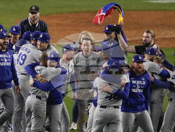 World Series Baseball