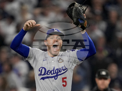 World Series Baseball