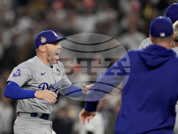 World Series Baseball