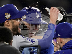 World Series Baseball
