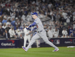 World Series Baseball