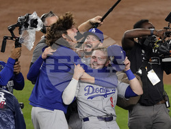 World Series Baseball