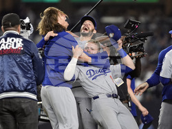 World Series Baseball