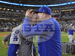 World Series Baseball