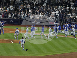 World Series Baseball