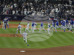 World Series Baseball