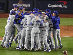 World Series Baseball