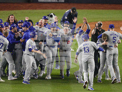 World Series Baseball