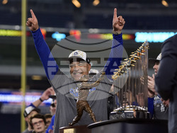 World Series Baseball