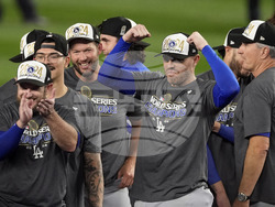World Series Baseball