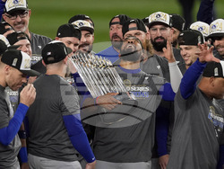 World Series Baseball