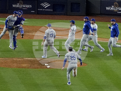 World Series Baseball