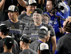 World Series Baseball