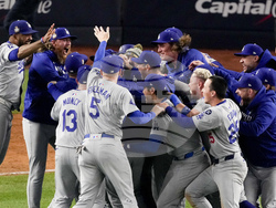 World Series Baseball