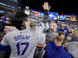 World Series Baseball