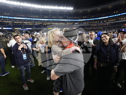 World Series Baseball