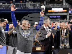 World Series Baseball
