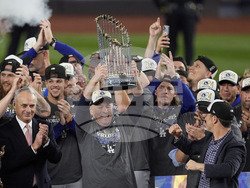 World Series Baseball