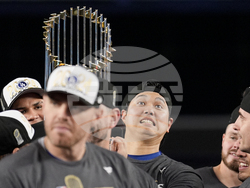 World Series Baseball