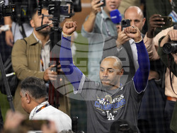 World Series Baseball