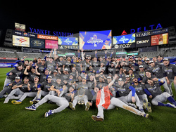 World Series Baseball