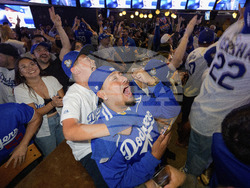 World Series Baseball Reax