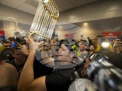 World Series Baseball