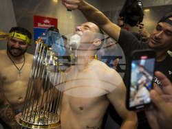 World Series Baseball