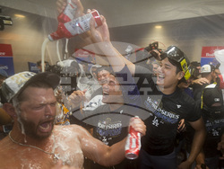 World Series Baseball