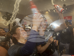 World Series Baseball