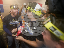 World Series Baseball