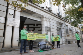 „Грийнпийс“ - петиция - морски резерват в Черно море