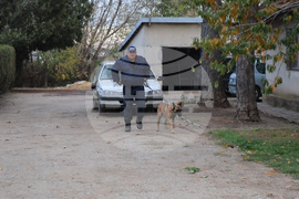 Добрич - полицейски кучета - питомник - полицейски кучета